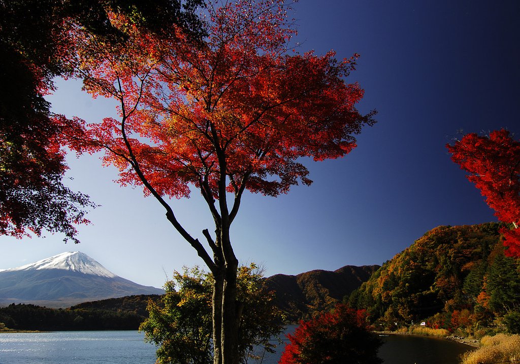 彩景