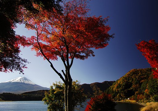彩景