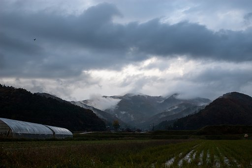 冬型の朝。