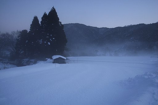 蒼い海