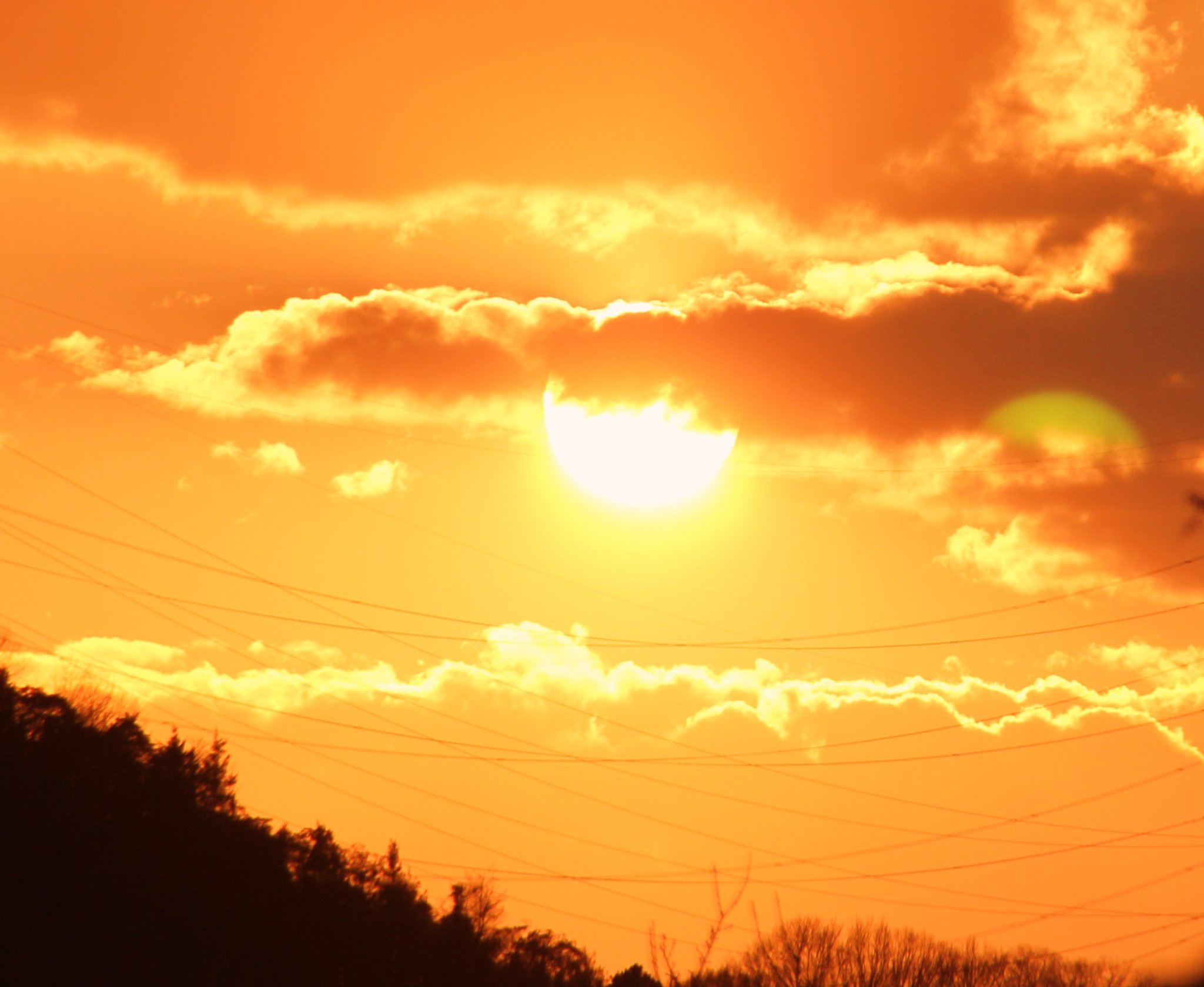 鮮やかな夕日
