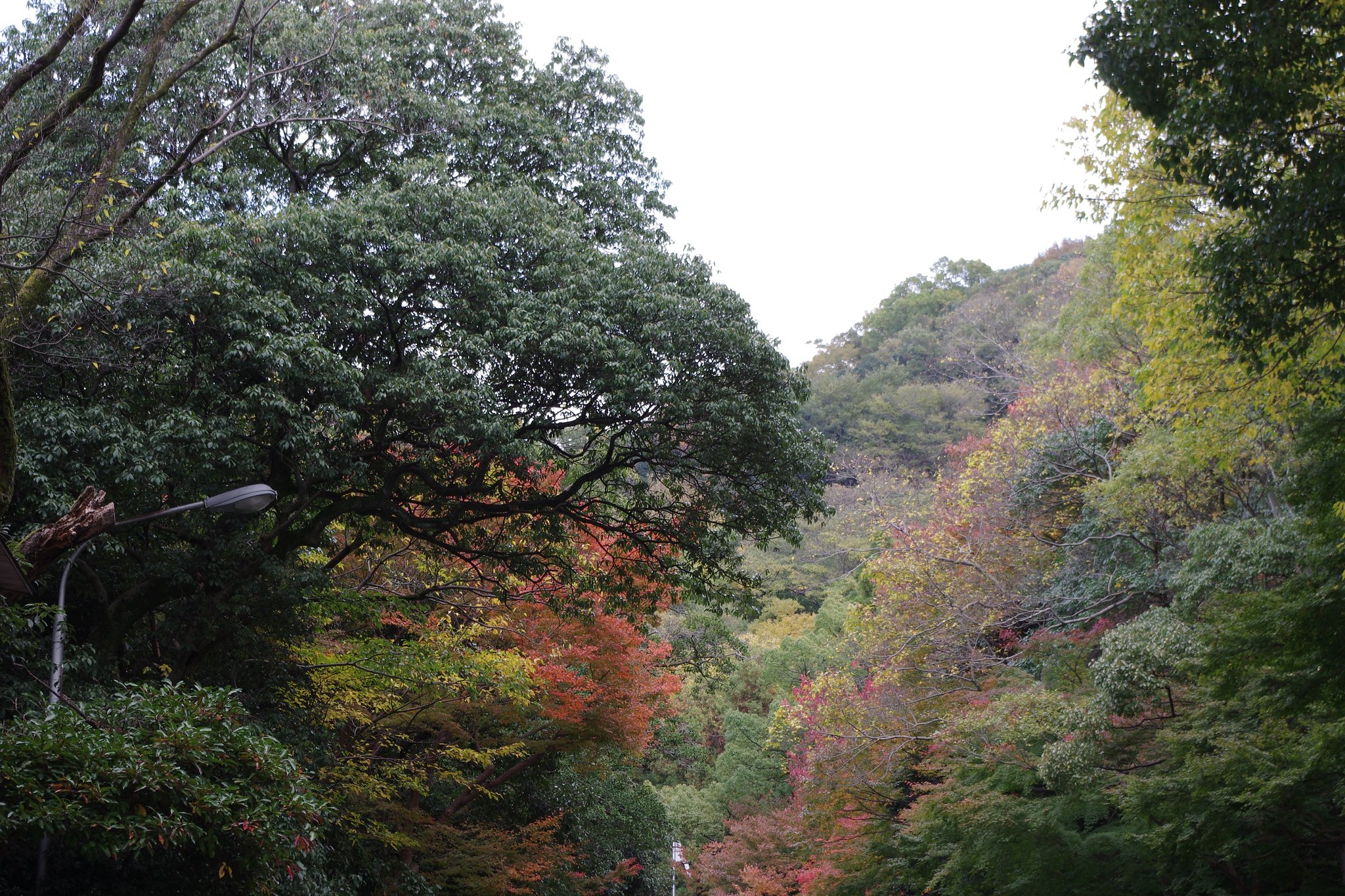 大阪　枚岡山