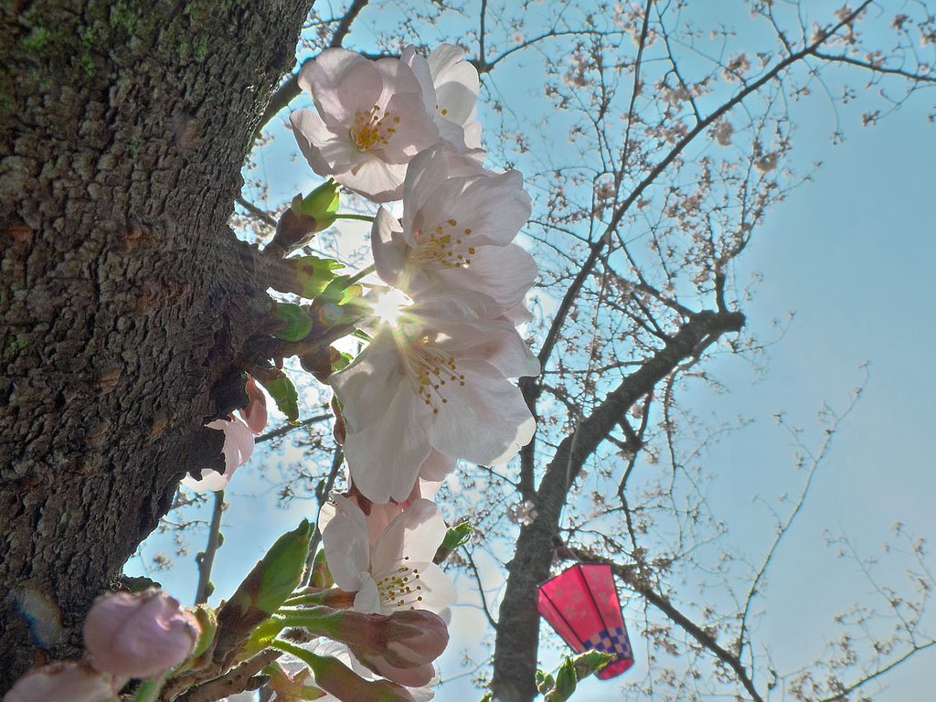 最近ハマってます