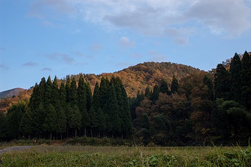 村の奥の紅葉-1