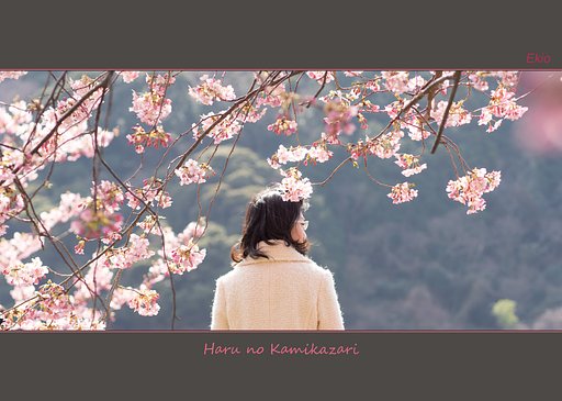 春の髪飾り