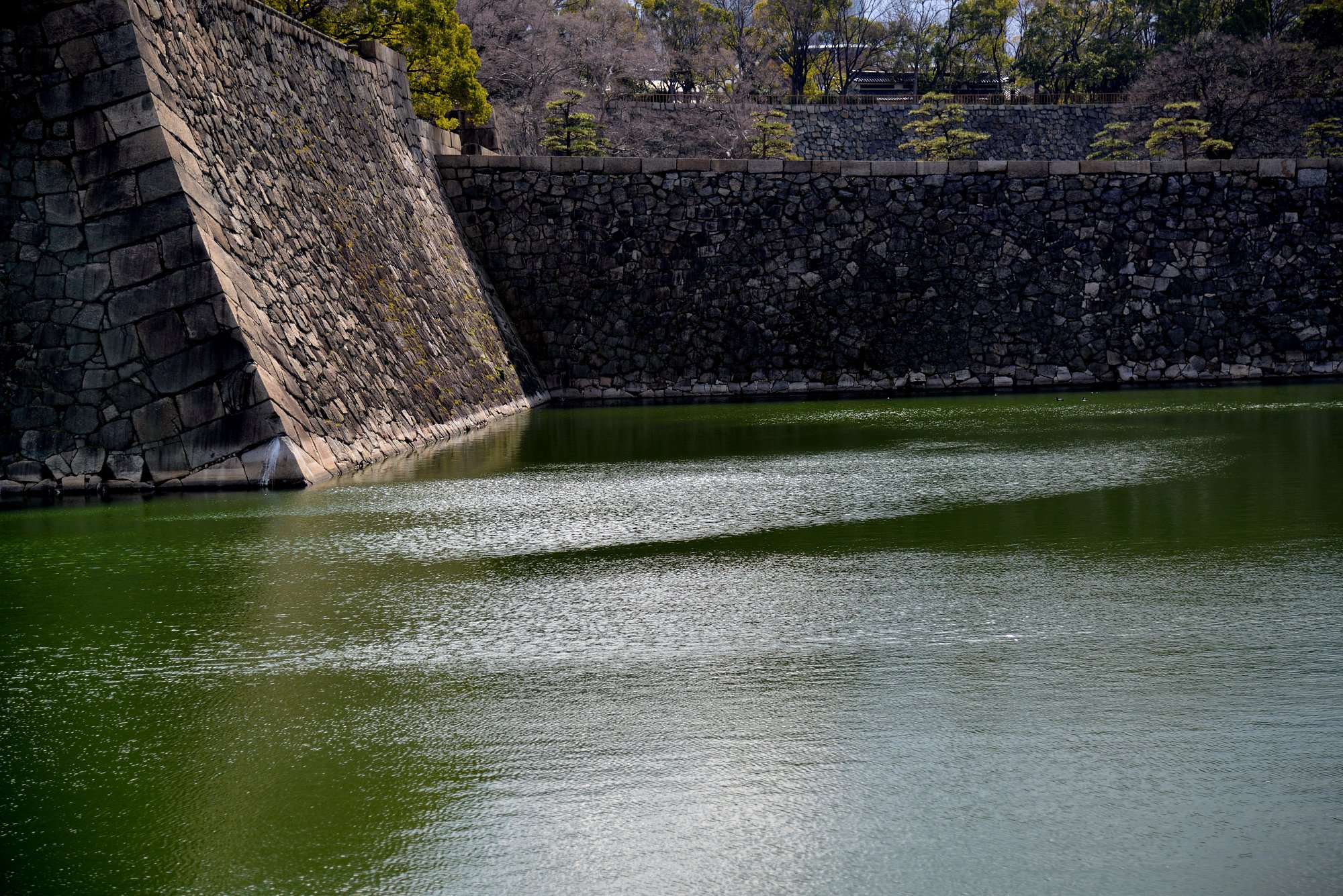 さざ波