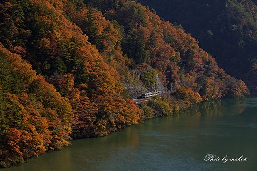紅葉の中を走る