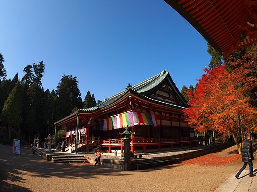 大講堂と紅葉
