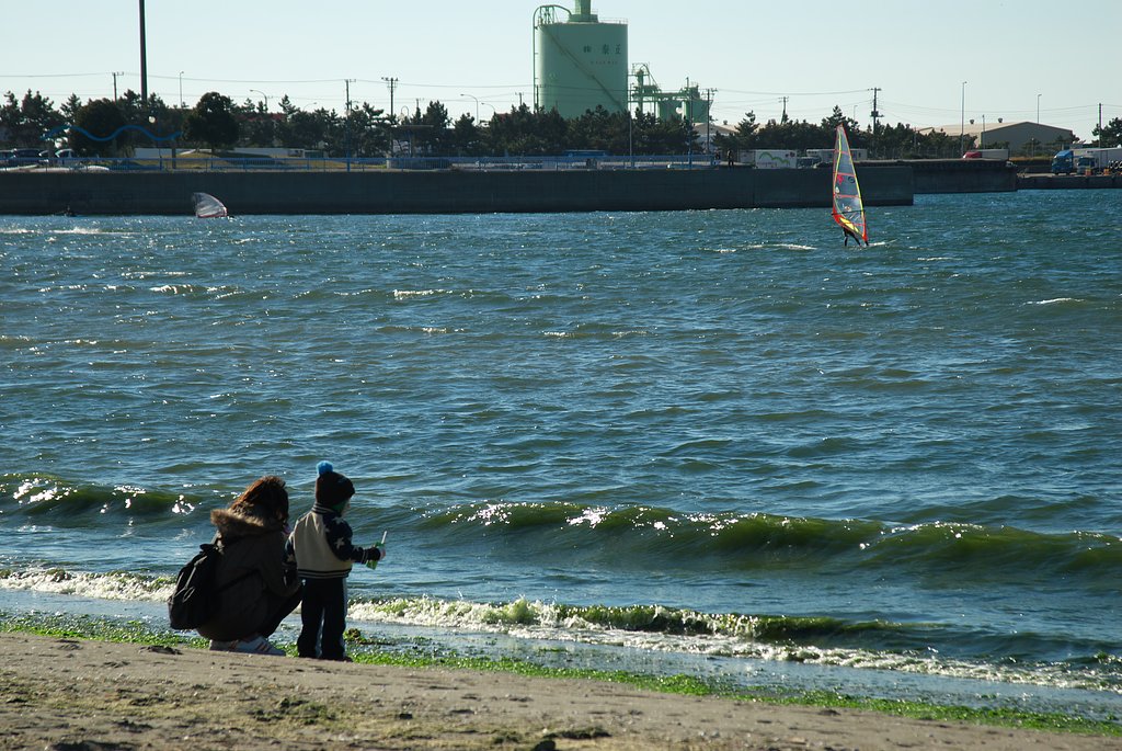 D200 + ED24-85/3.5-4.5G