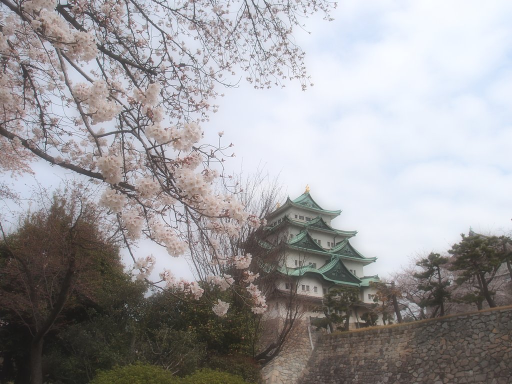 春眠