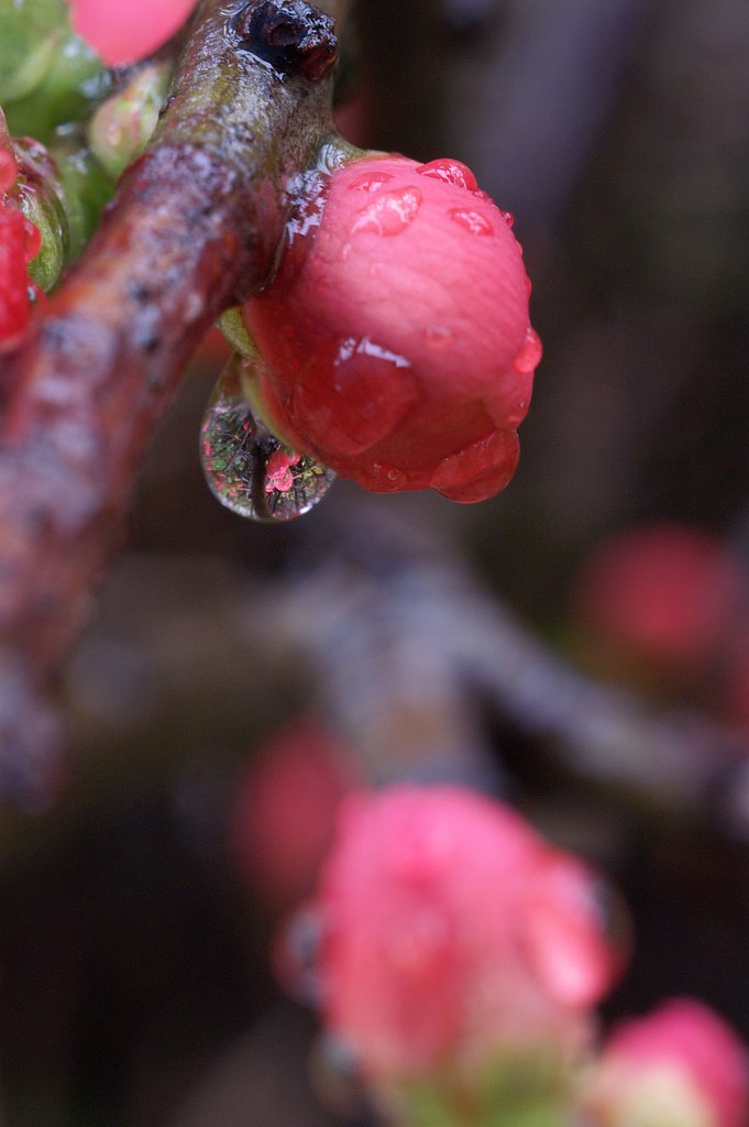 雨水
