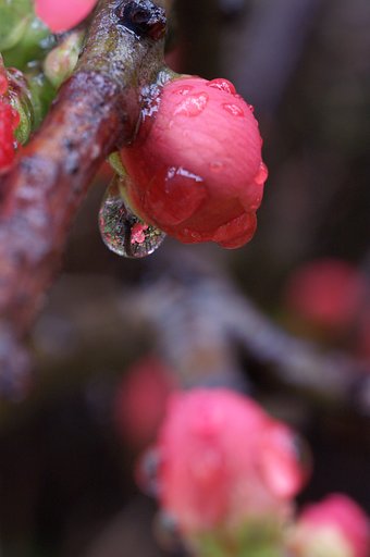 雨水