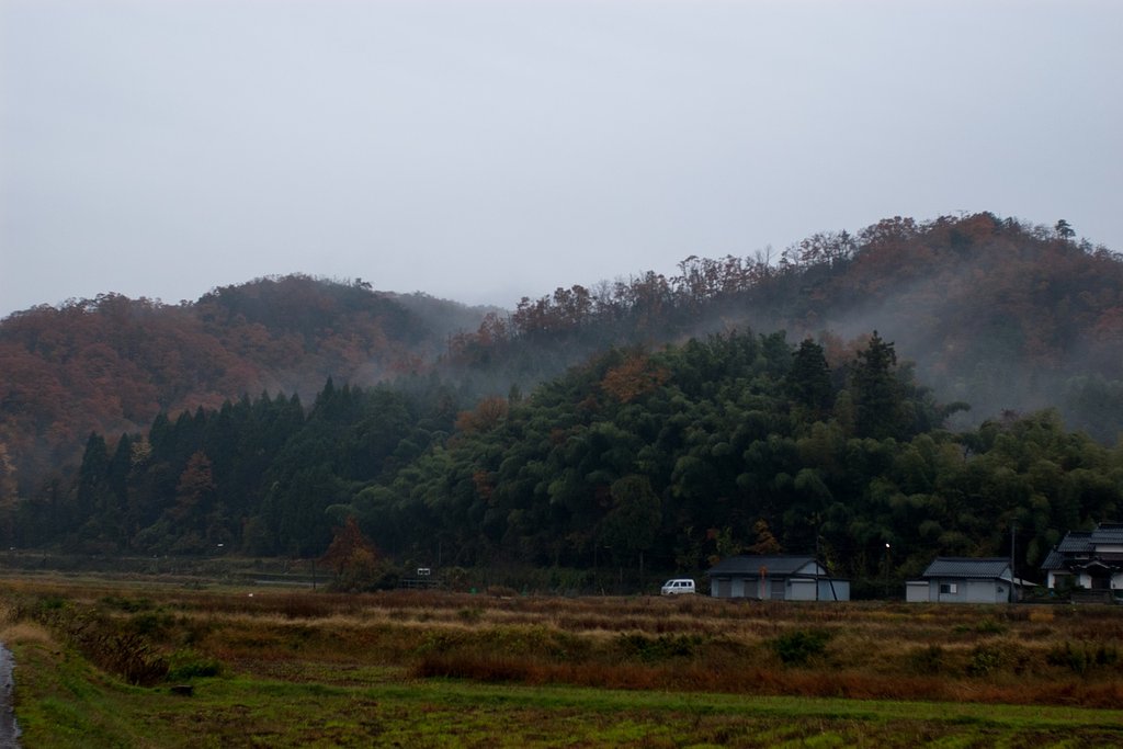 雨降りの朝・・。