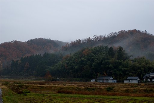 雨降りの朝・・。
