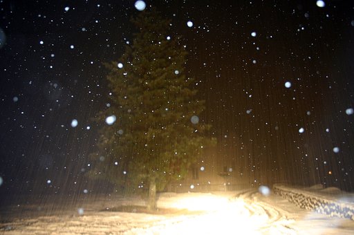 12月19日の写真