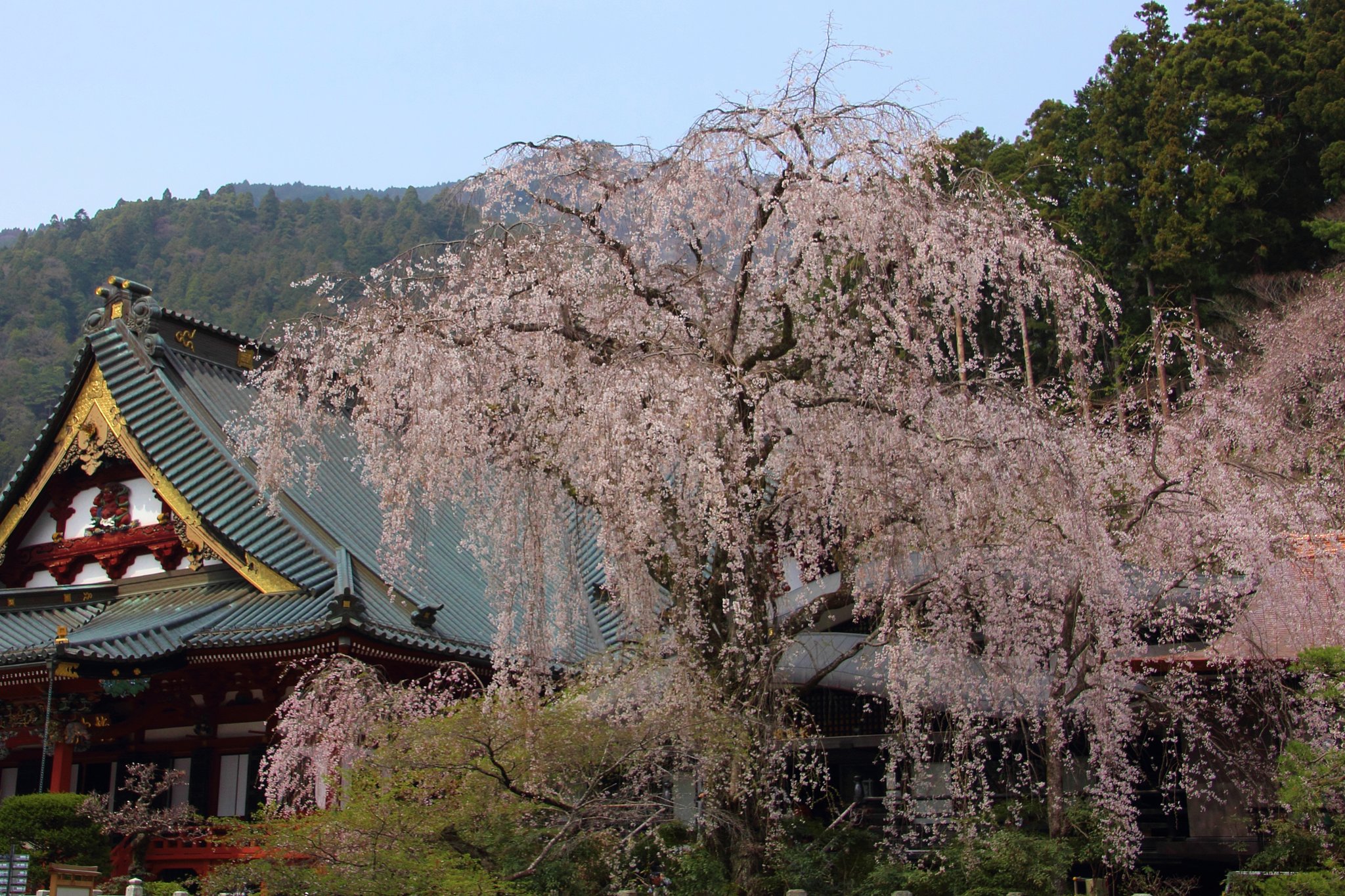 身延山
