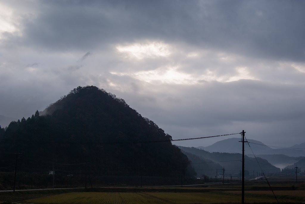 雨降りの朝は、電線に・・