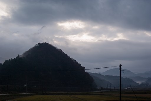 雨降りの朝は、電線に・・