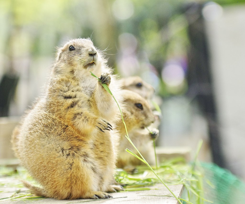 もぐもぐ
