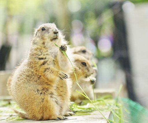 もぐもぐ
