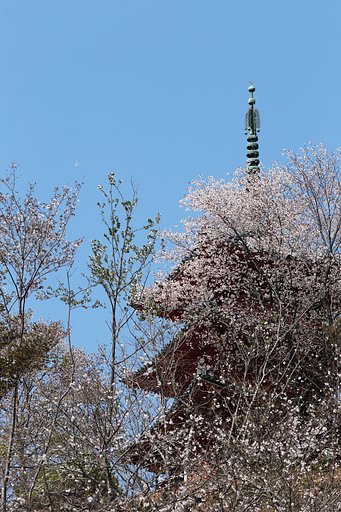 偶然のコラボレーション