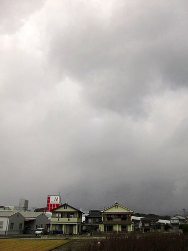 小雪も