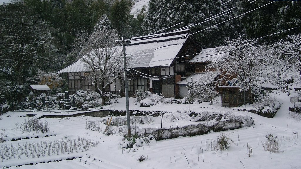 雪が積もりました。