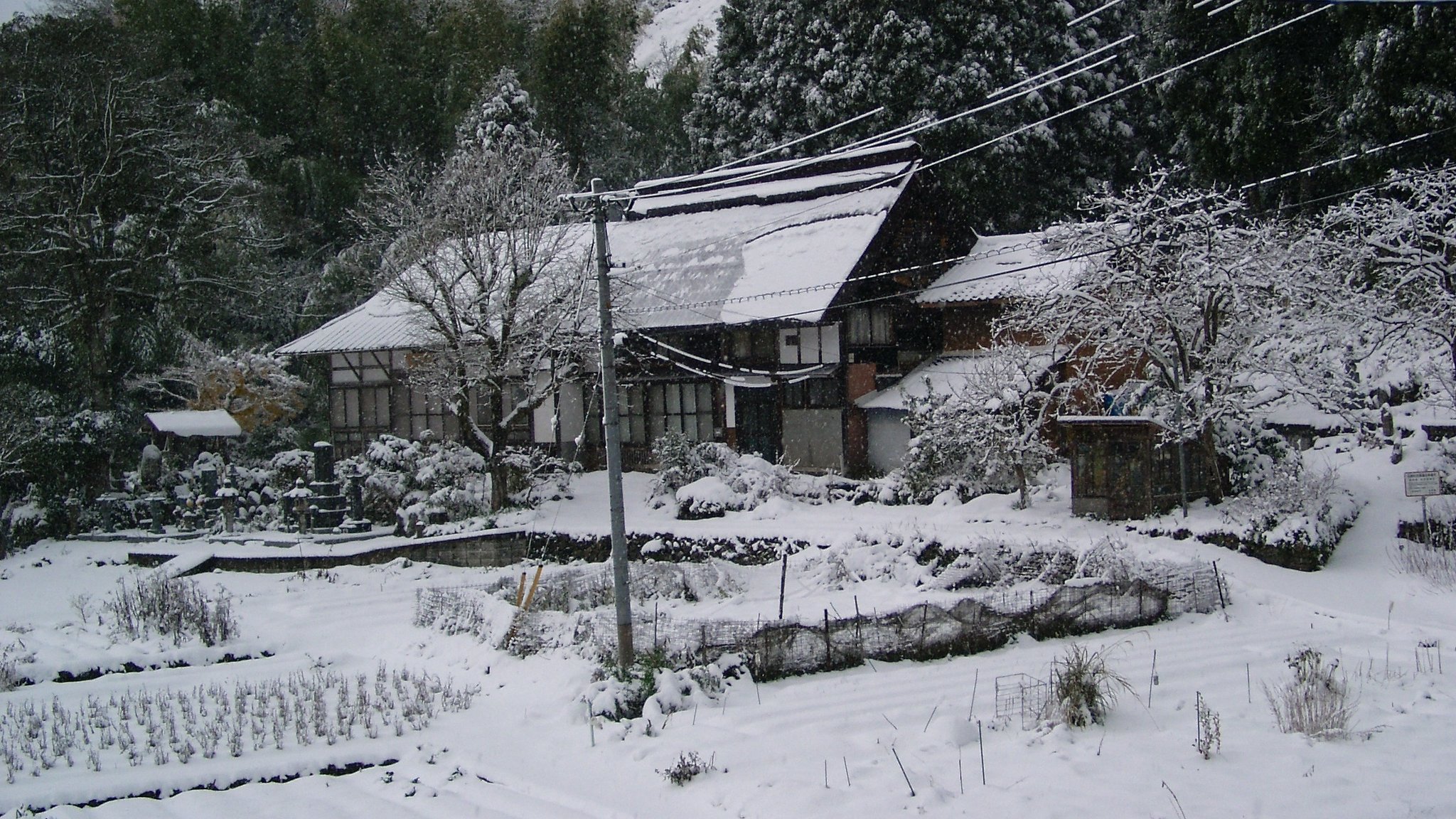 雪が積もりました。