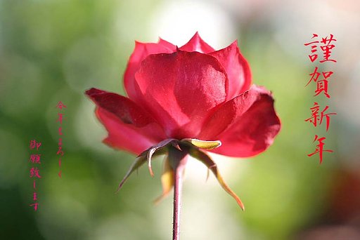 今年もよろしくお願いします♪