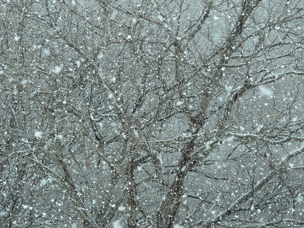 雪雪雪