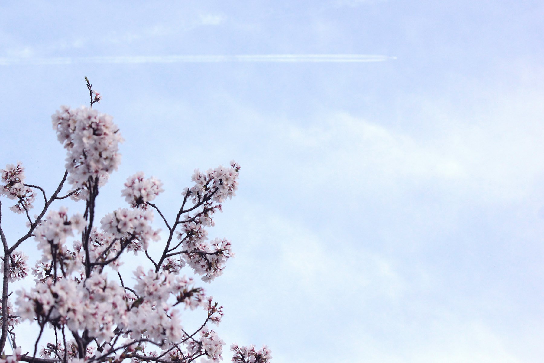 なんでもない空