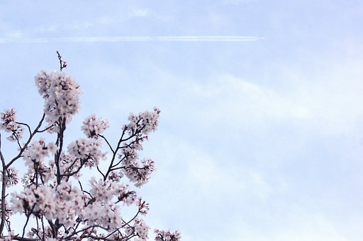 なんでもない空