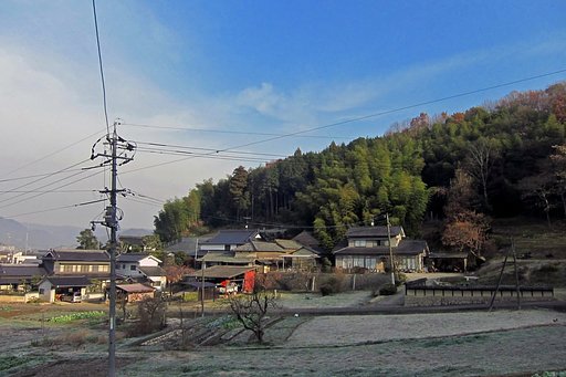 霜降りる朝