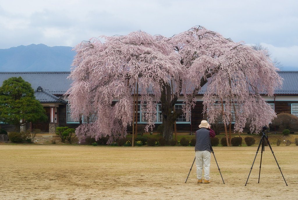 右端の三脚は・・・