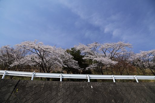 主役と脇役