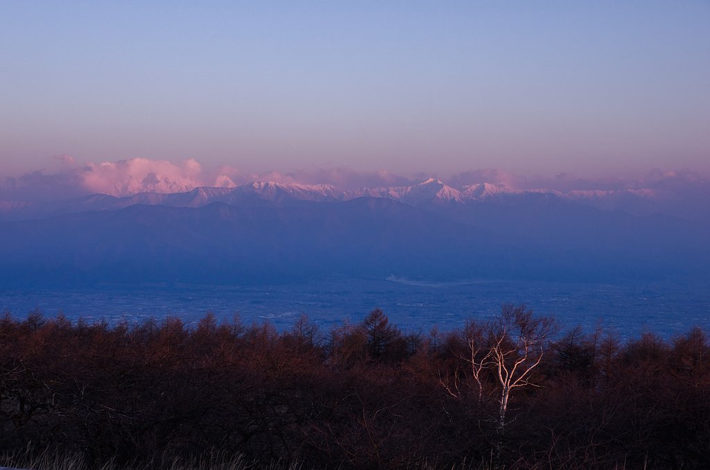 朝陽に染まる