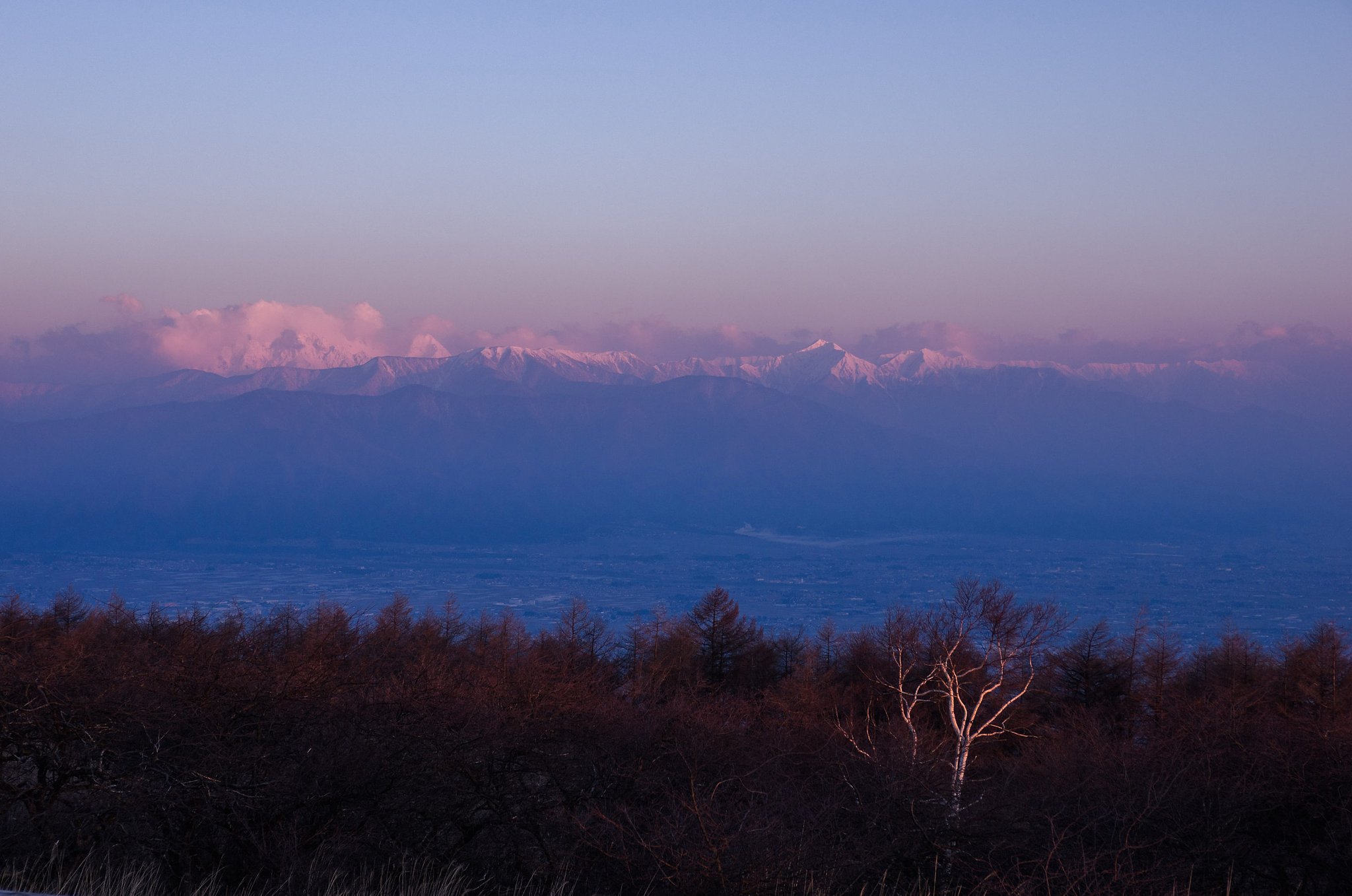 朝陽に染まる