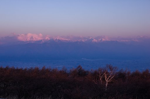 朝陽に染まる