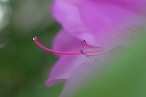 いよいよ五月ですね～