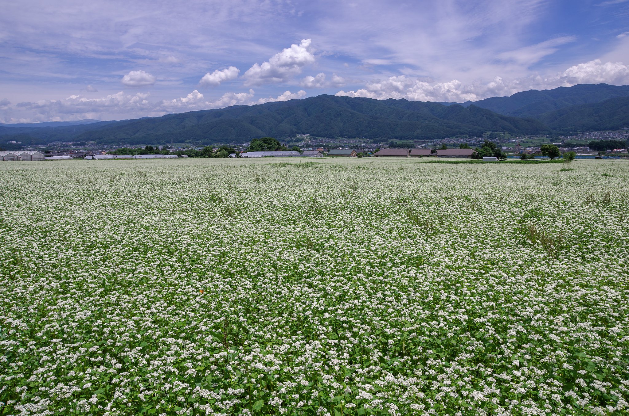 伊那谷の風景
