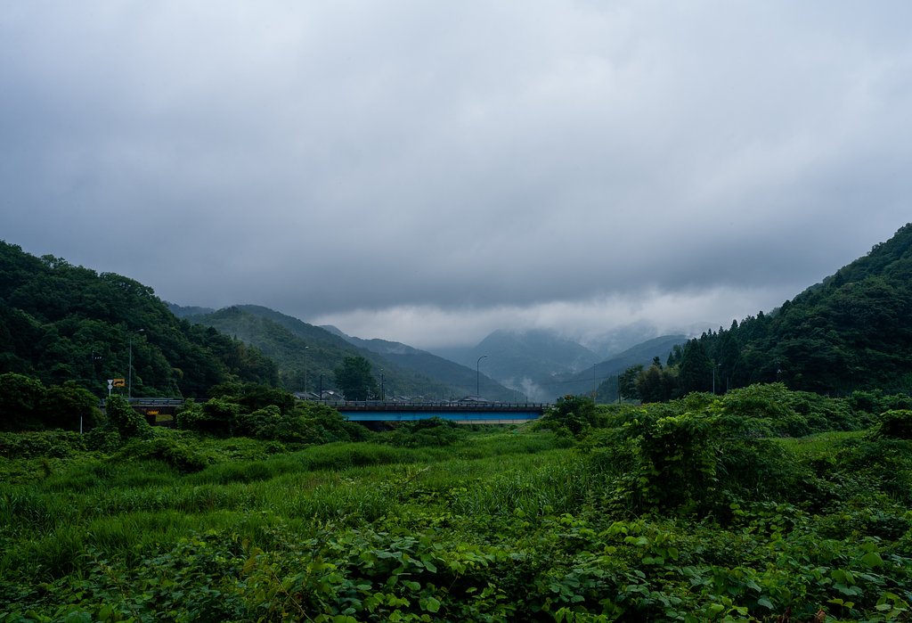 今日も梅雨空・・。