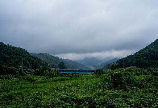 今日も梅雨空・・。