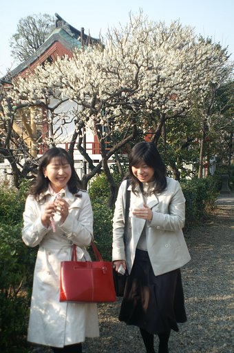 『春』春ですね、嬉しそうですねえ。