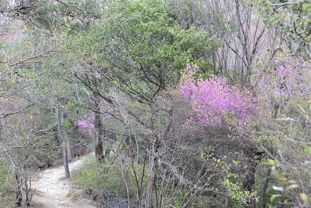 山路