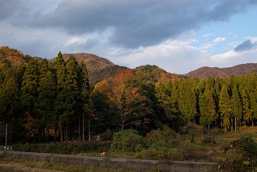 村の奥の紅葉- 4