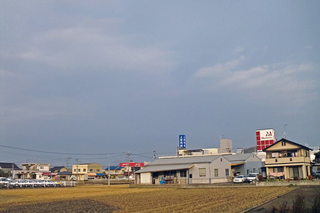 雨になるとは