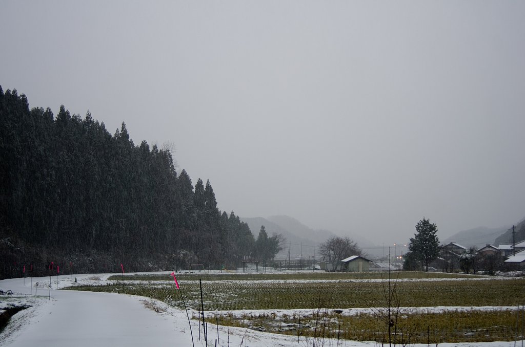 雪の降る朝・・。