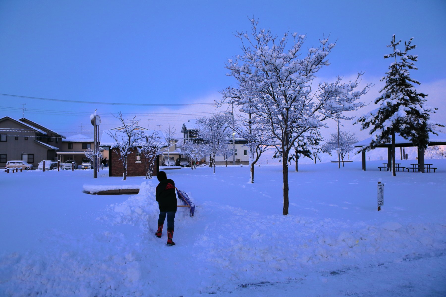 雪国の朝