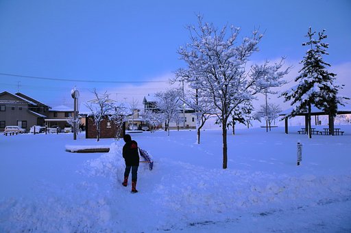 雪国の朝