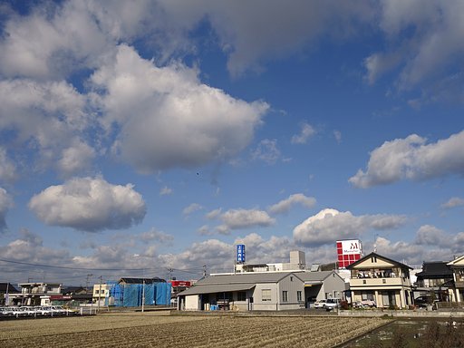 風の強い定点の歳末